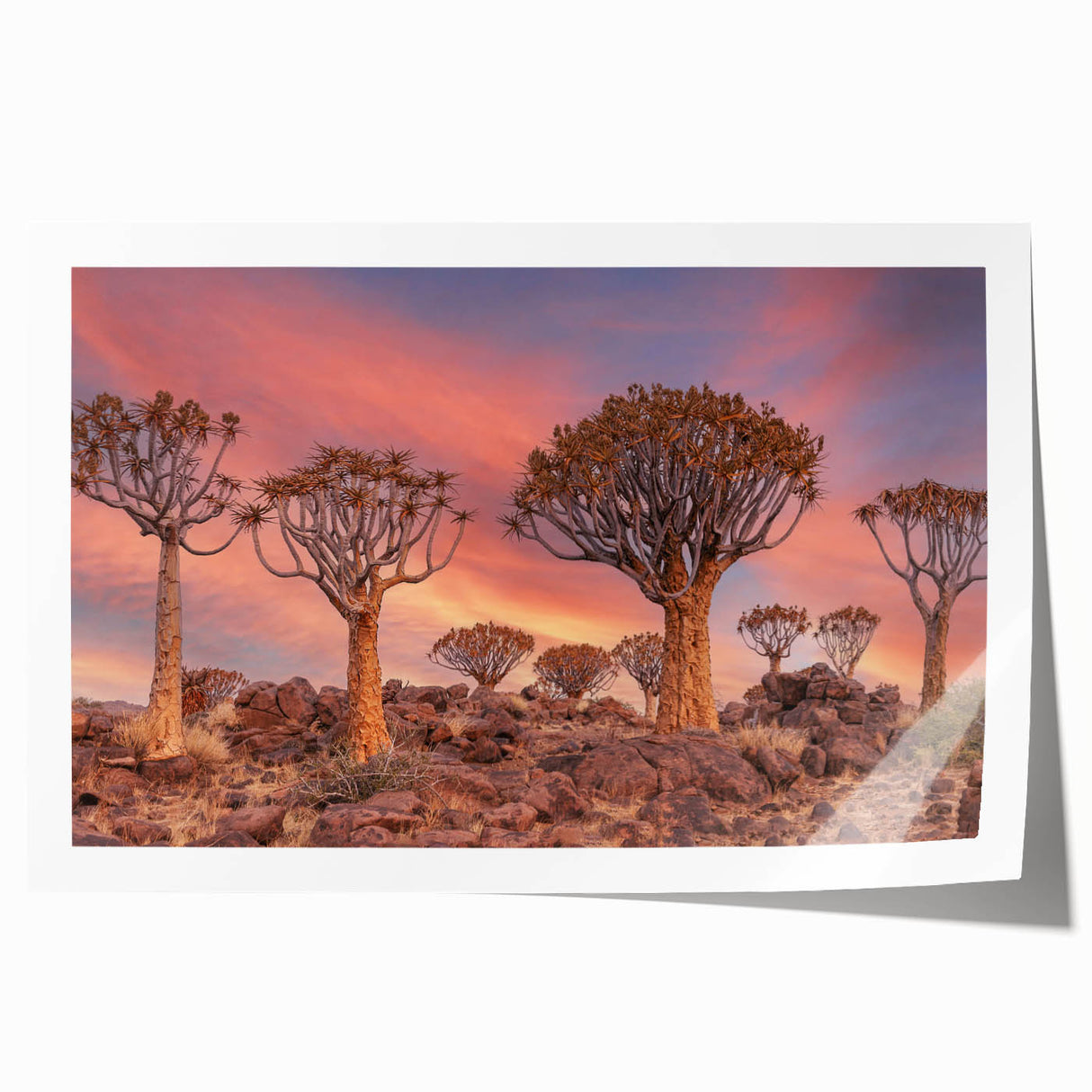 Extra large rolled print depicting a serene Namibian landscape, ideal for dining room wall art, featuring muted earth tones.