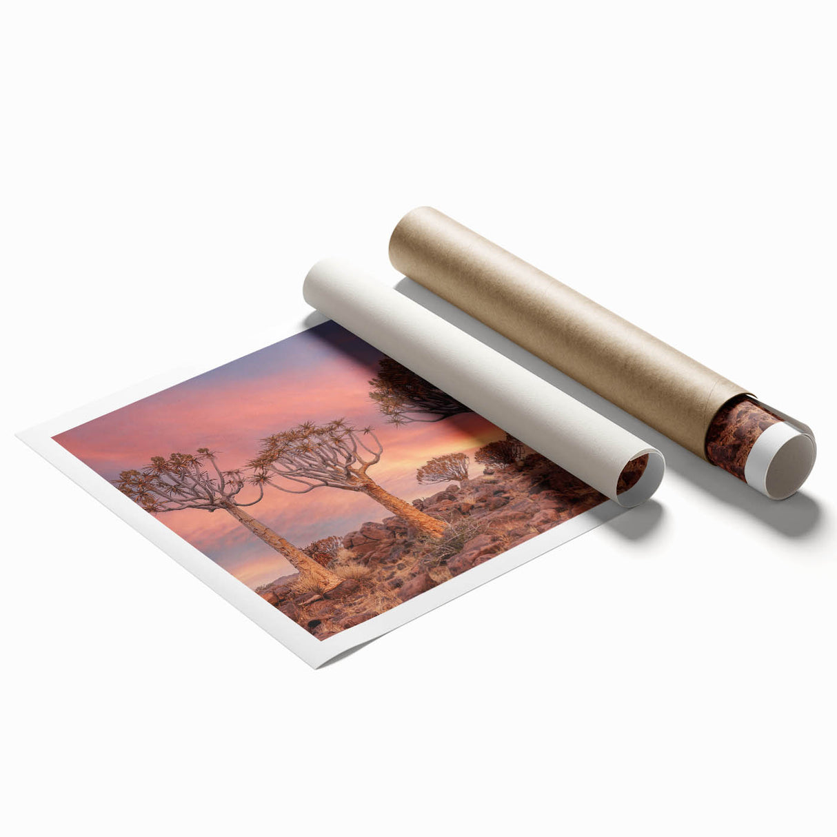 Extra large rolled print depicting a serene Namibian landscape in muted earth tones.