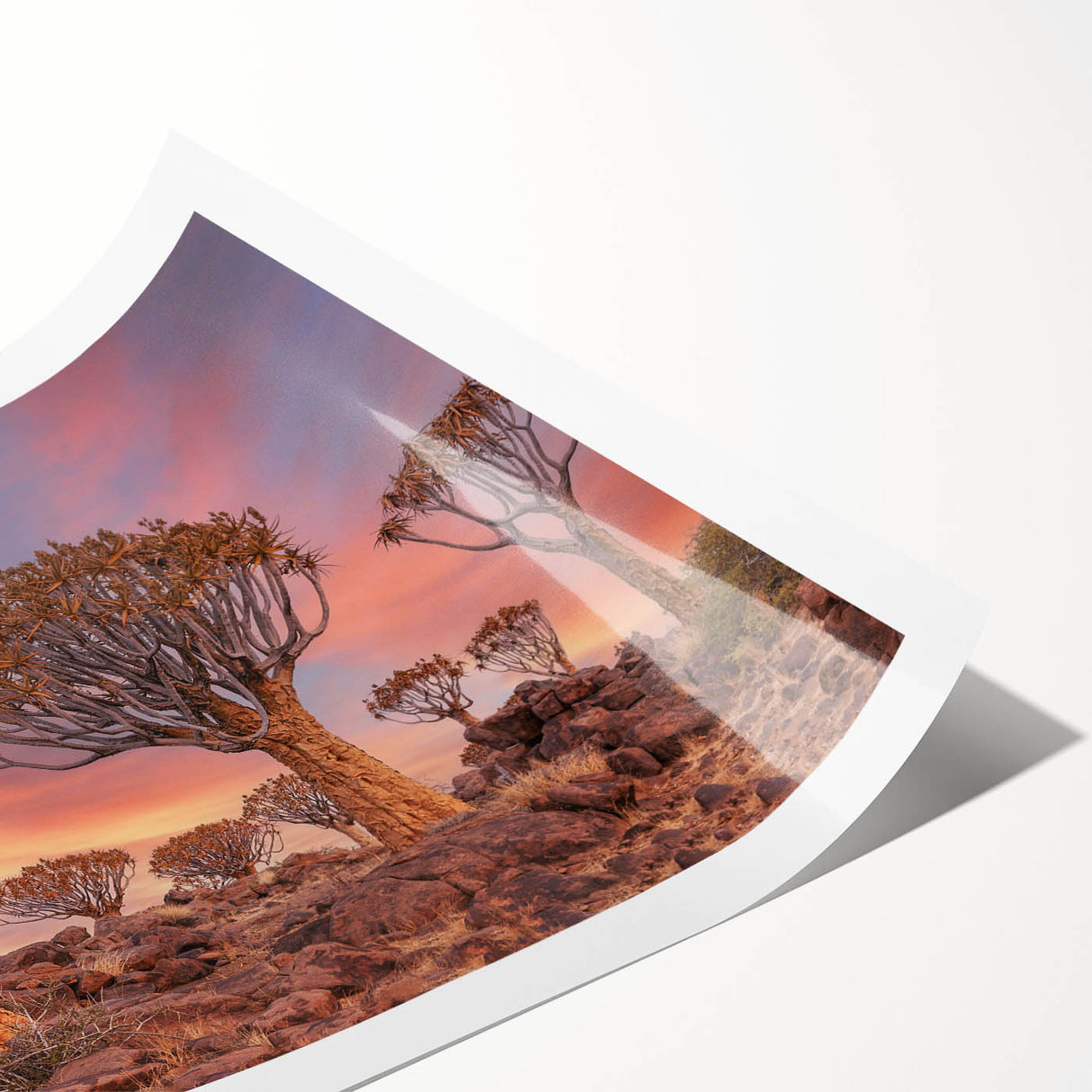 Extra large rolled print featuring line art flowers in muted earth tones, ideal for large living room wall art.