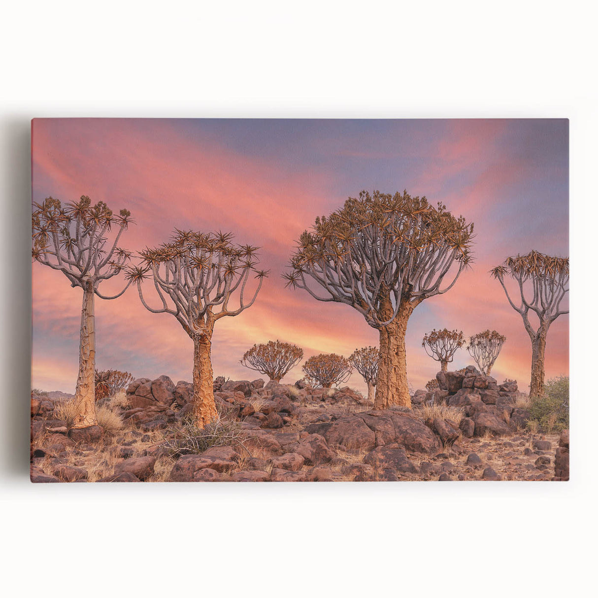 Black and white stretched canvas of African scenery, large format, ideal for kitchen wall art.