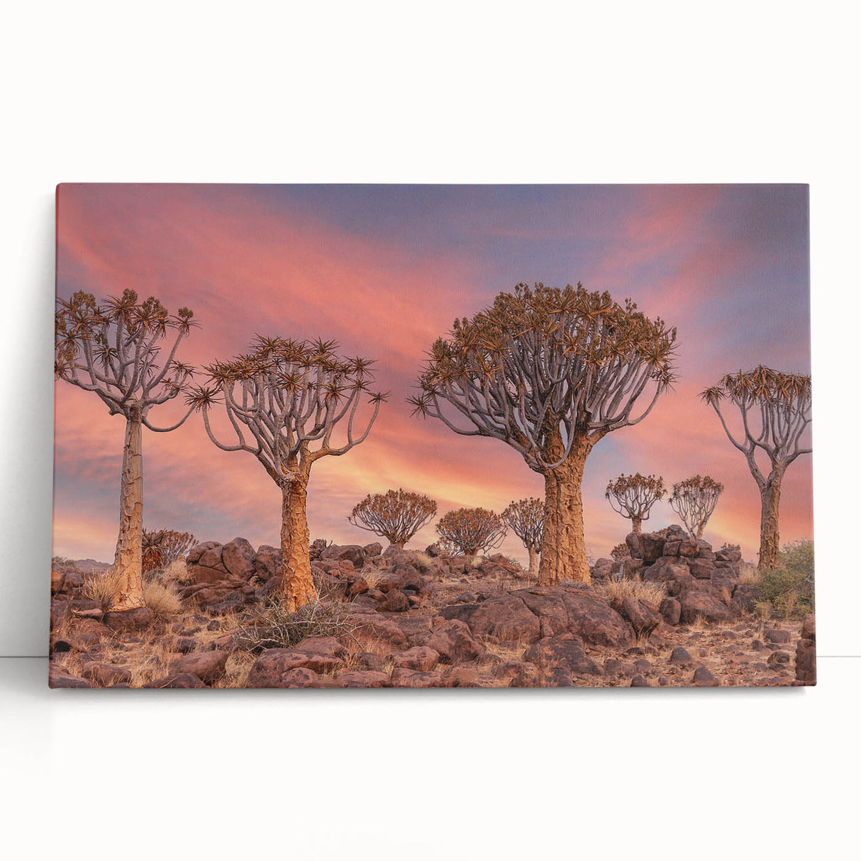 Black and white photograph of a Namibian landscape on stretched canvas, ideal for kitchen wall art or bedroom ambiance.