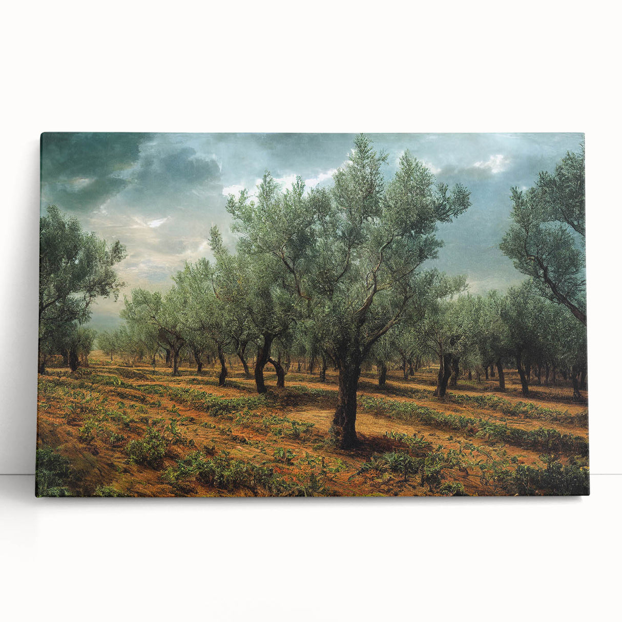 Large black and white photograph of an Albanian landscape on stretched canvas, ideal for kitchen wall art.