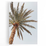 Large black and white abstract canvas art of dynamic brush strokes, ideal for kitchen wall decor.