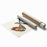 Romanticism Art: Marsh Hawk from Birds of America - Historical Canvas