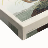 Romanticism Art: Marsh Hawk from Birds of America - Historical Canvas