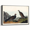 Romanticism Art: Dusky Grouse by John Audubon - Classic Canvas Print