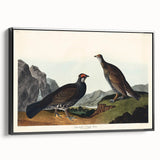Romanticism Art: Dusky Grouse by John Audubon - Classic Canvas Print