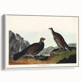 Romanticism Art: Dusky Grouse by John Audubon - Classic Canvas Print