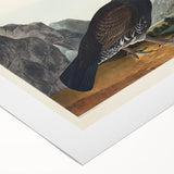 Romanticism Art: Dusky Grouse by John Audubon - Classic Canvas Print