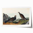 Romanticism Art: Dusky Grouse by John Audubon - Classic Canvas Print