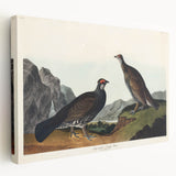 Romanticism Art: Dusky Grouse by John Audubon - Classic Canvas Print