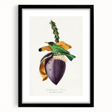 Romanticism Art: Treecreeper Bird by Paul Gervais - Classic Print