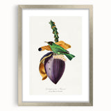 Romanticism Art: Treecreeper Bird by Paul Gervais - Classic Print