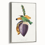 Romanticism Art: Treecreeper Bird by Paul Gervais - Classic Print