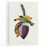 Romanticism Art: Treecreeper Bird by Paul Gervais - Classic Print