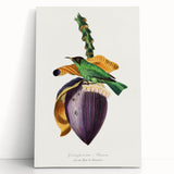 Romanticism Art: Treecreeper Bird by Paul Gervais - Classic Print