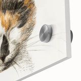Romanticism Art: Calico Cat by Jean Bernard - Classic Animal Portrait