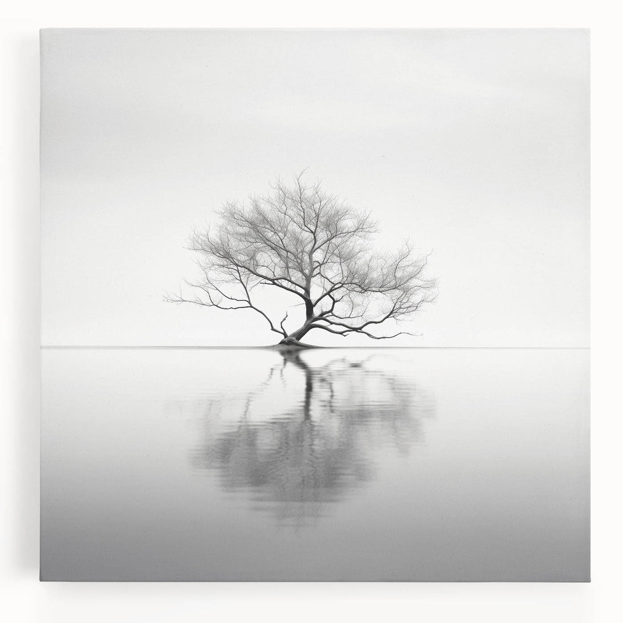 Minimalist Tree Reflection Wall Art - Modern Black & White Print