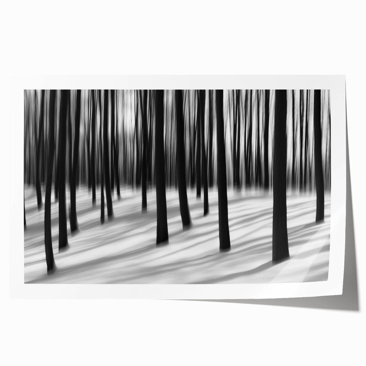 Blurred Winter Forest – Dynamic Black and White Motion Wall Art