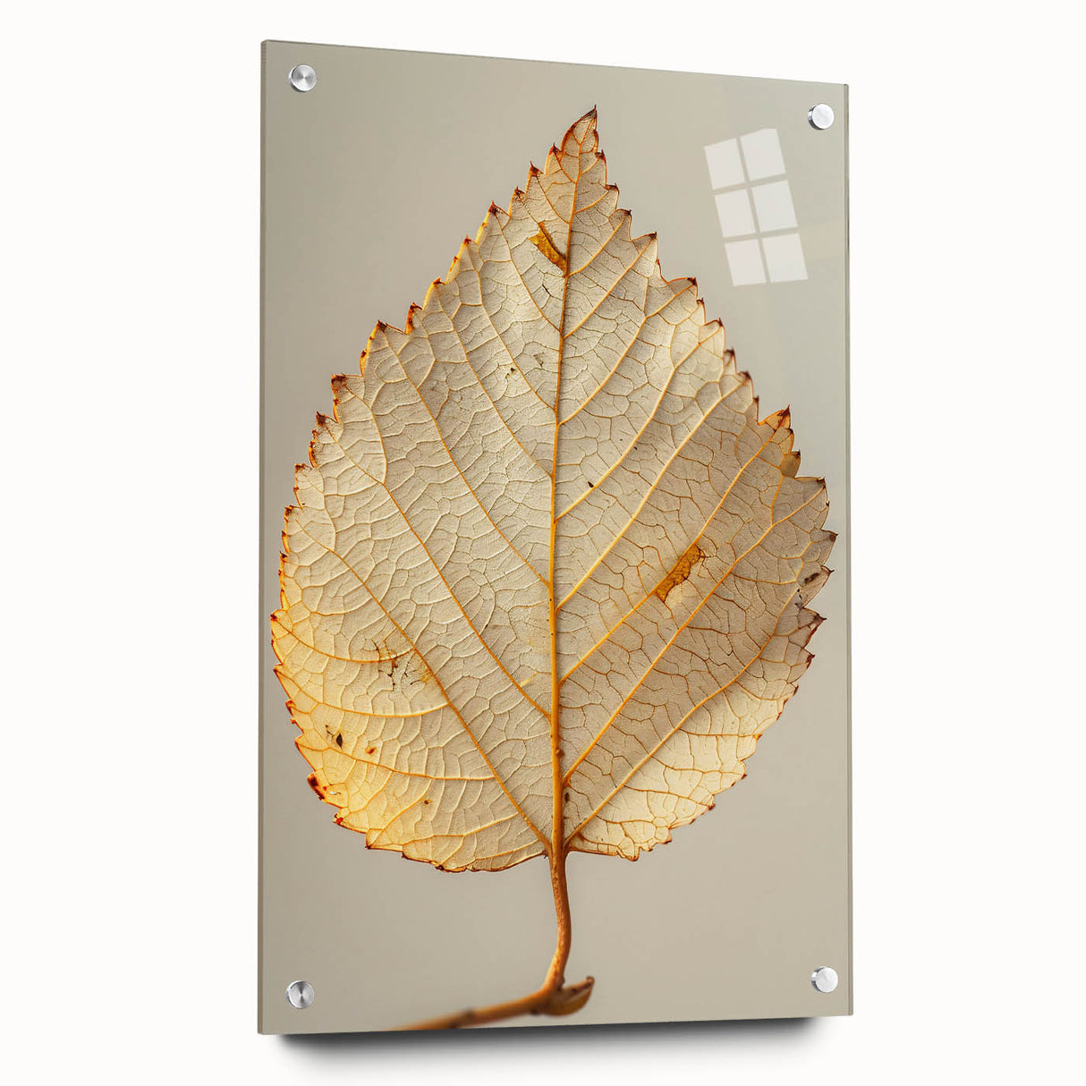 Acrylic glass wall art featuring a vibrant floral and botanical design with intricate details, displayed with pins and showcasing a side view that highlights depth and color.