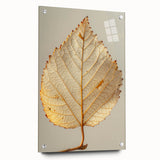 Acrylic glass wall art featuring a vibrant floral and botanical design with intricate details, displayed with pins and showcasing a side view that highlights depth and color.