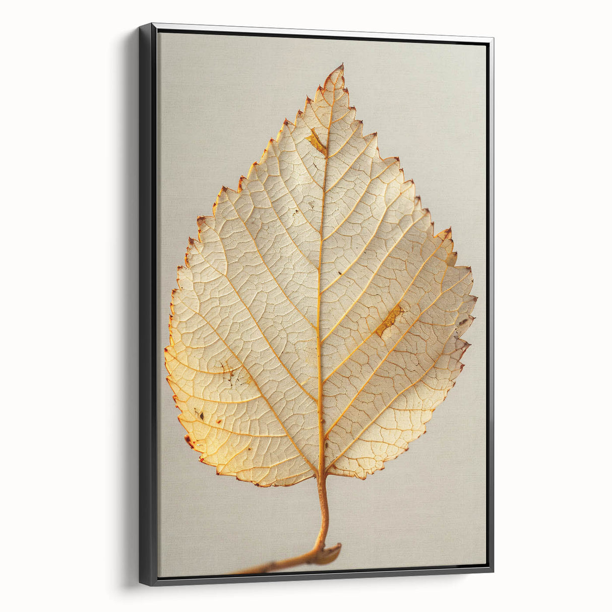 Framed canvas wall art showcasing a vibrant floral design with colorful flowers and green leaves, presented in a sleek black frame, ideal for modern decor.