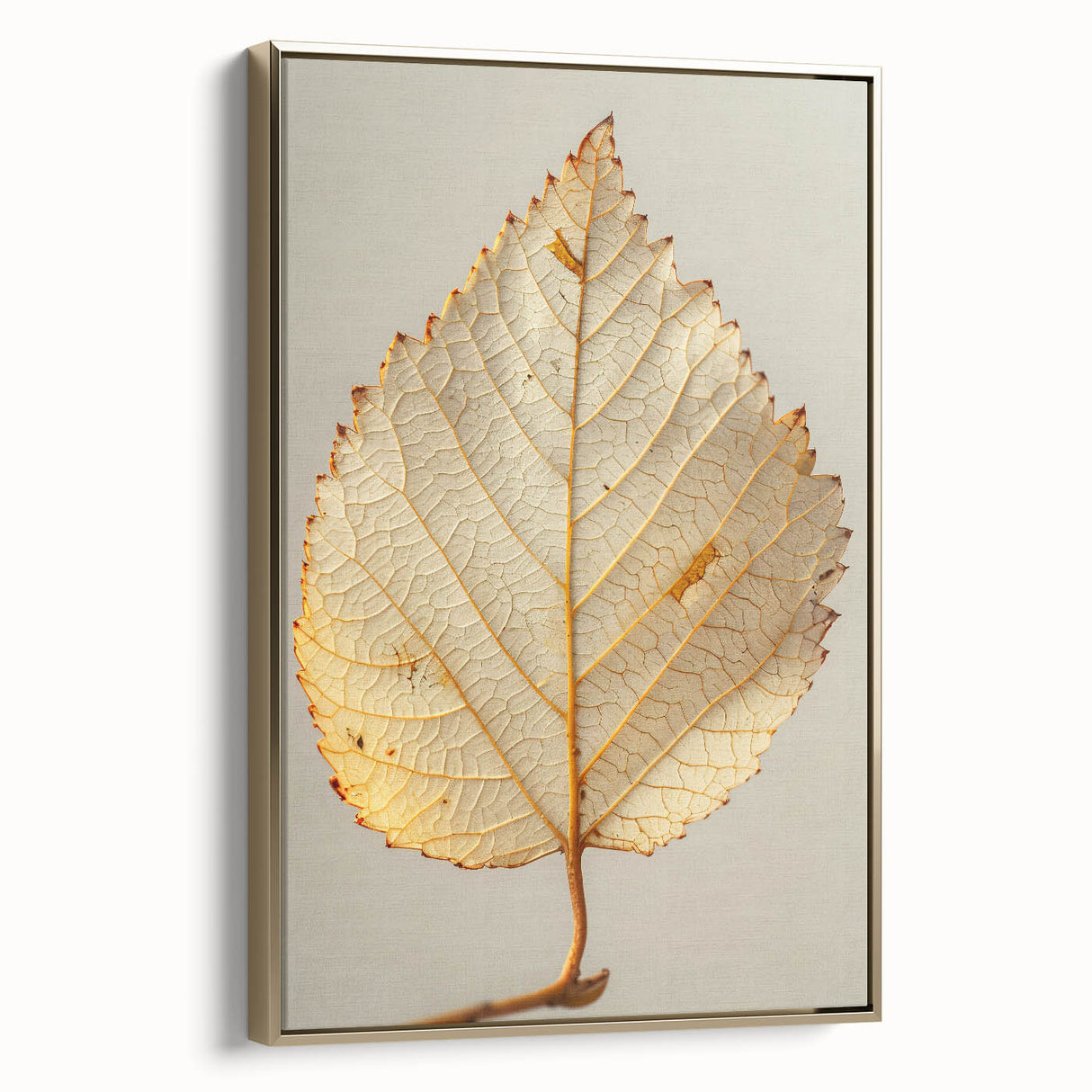 Framed canvas wall art showcasing an elegant design of flowers and botanical leaves in gold tones, displayed in a modern setting, ideal for home decor enhancement.