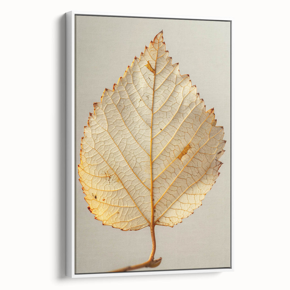 Framed canvas wall art showcasing a vibrant floral and botanical design, featuring lush green leaves and colorful flowers, set against a white background for a fresh, modern look. Perfect for home decor or office spaces, this piece adds a touch of nature-inspired elegance.
