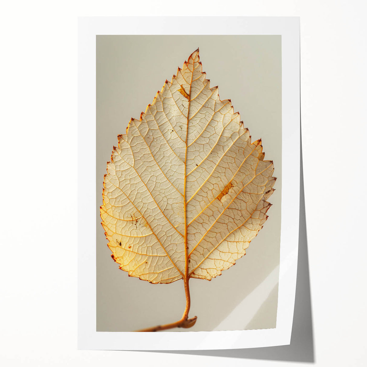 Floral wall art print showcasing vibrant flowers and green leaves, rolled for easy shipping and display, perfect for enhancing home decor with a natural touch.