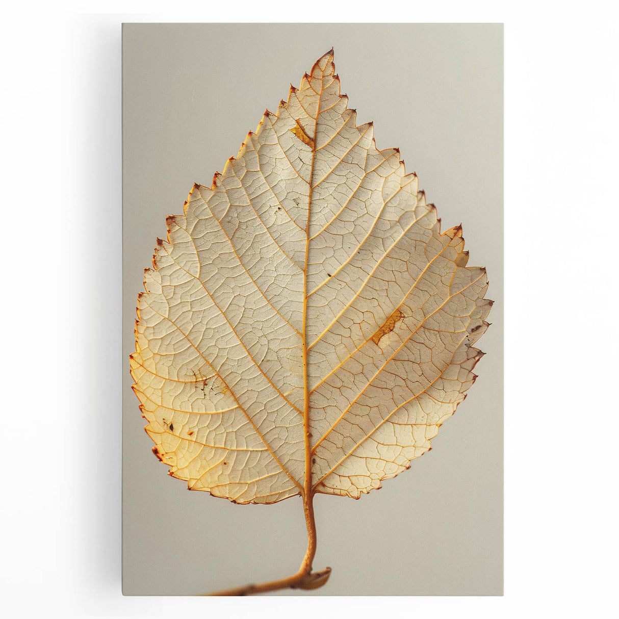 Colorful floral and botanical wall art design on a stretched canvas, showcasing vibrant flowers and lush green leaves, perfect for home decor enhancement.
