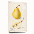 Large abstract wall art of colorful fruits on acrylic glass, ideal for bedroom or dining room decor.