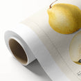 Art Deco style poster featuring an assortment of colorful fruits on a rolled canvas.