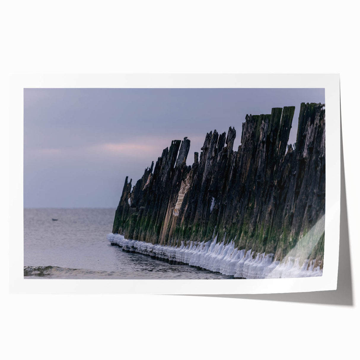 Extra large rolled print of a Lithuanian landscape with vibrant floral elements on a muted background.