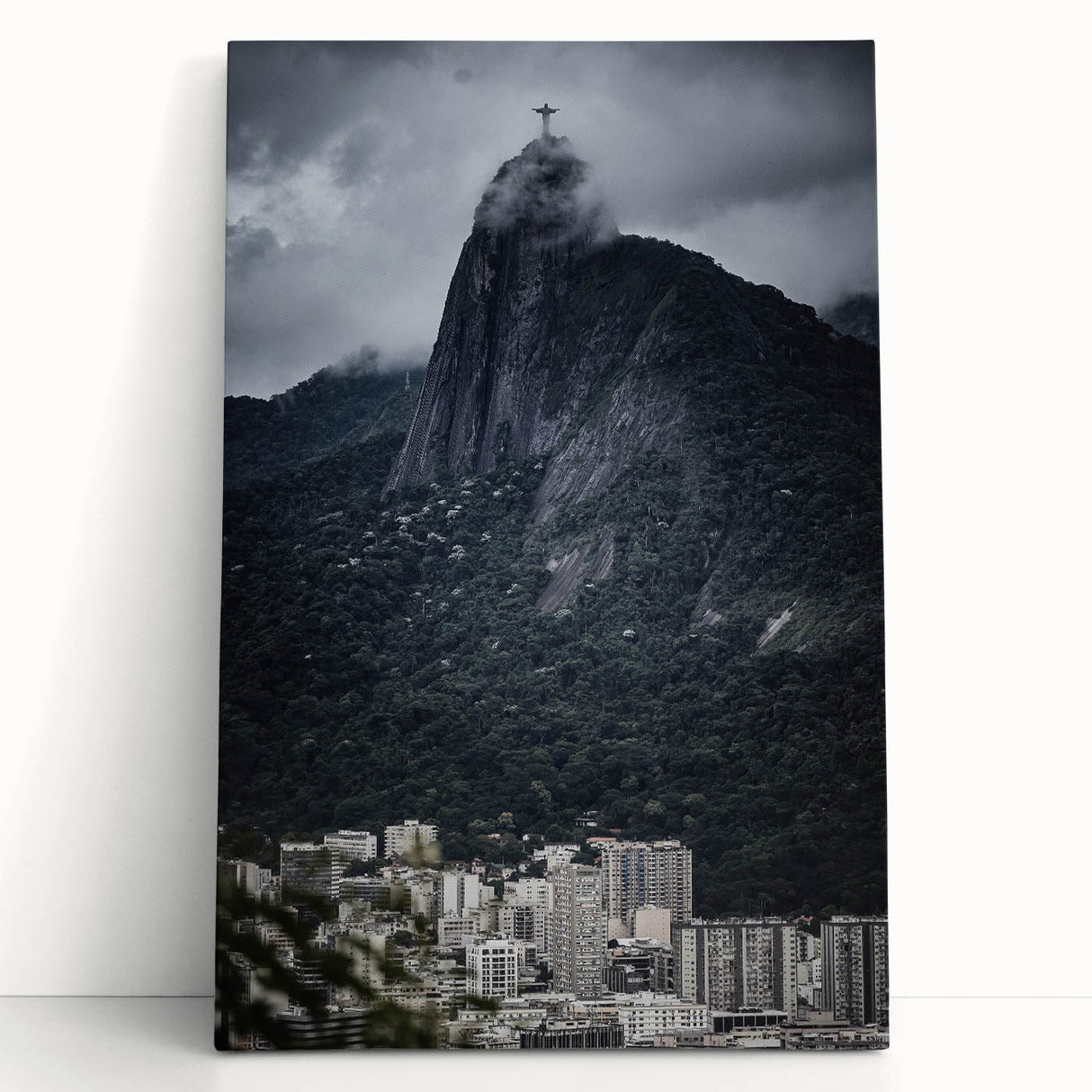 Black and white canvas print of Brazilian landscape, ideal for kitchen wall art or bedroom decor.