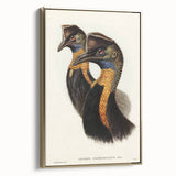 Romanticism Art: Cassowary Illustration by Elizabeth Gould - Exotic Print