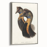Romanticism Art: Cassowary Illustration by Elizabeth Gould - Exotic Print