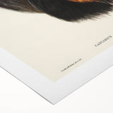 Romanticism Art: Cassowary Illustration by Elizabeth Gould - Exotic Print