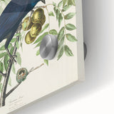 Romanticism Art: American Crow by Audubon - Nature-Inspired Print