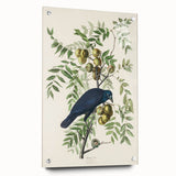 Romanticism Art: American Crow by Audubon - Nature-Inspired Print