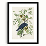 Romanticism Art: American Crow by Audubon - Nature-Inspired Print