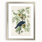 Romanticism Art: American Crow by Audubon - Nature-Inspired Print