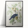 Romanticism Art: American Crow by Audubon - Nature-Inspired Print