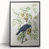 Romanticism Art: American Crow by Audubon - Nature-Inspired Print