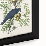 Romanticism Art: American Crow by Audubon - Nature-Inspired Print