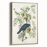 Romanticism Art: American Crow by Audubon - Nature-Inspired Print