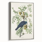 Romanticism Art: American Crow by Audubon - Nature-Inspired Print