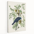 Romanticism Art: American Crow by Audubon - Nature-Inspired Print