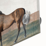 Romanticism Art: Anvil by George Stubbs - Majestic Horse Canvas