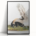 Romanticism Art: Large-tailed Skunk by Audubon - Nature-Inspired Print