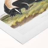 Romanticism Art: Large-tailed Skunk by Audubon - Nature-Inspired Print